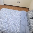 제주어린왕자풀빌라펜션 이미지