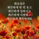 7월 26일(화) 어제 두딸과 3명의 손자관련 이야기 이미지