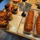 빵나무 이야기 이미지