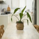 함덕생활 이미지