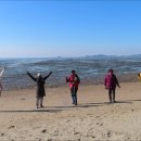 동행