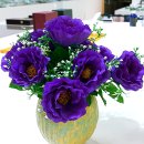 동산제1호 이미지