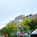 보라매슈퍼 | 국가건강검진 예약 후기 보라매병원 금식시간 결과조회방법
