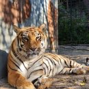 가평의아침 이미지