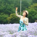 문희농장 이미지