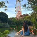 나트랑 | 빈원더스 나트랑 오후권 후기｜포토존 &amp; 추천 동선 &amp; 입장권 비교