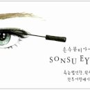 손수아이래쉬