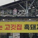 광사돈229