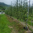 형재 농장 이미지