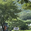 청풍명월 캠핑장 | [충북 제천] &lt;선녀와 나무꾼&gt; 캠핑장 S풀타프존 -2 후기