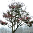 함평자연생태공원 이미지