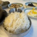 찌개가맛있는집 | 울산 남구 : 점심식사가 가능한 식당/ 김치찌개가 맛있는 집 / 내돈내산 솔직후기 [미스타냉삼]