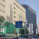 피노미나 이미지