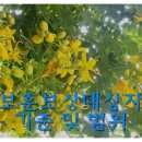 박경진행정사사무소 이미지