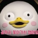 다이나믹 복싱 이미지