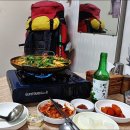 논실 Daum카페