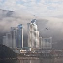 소노캄 거제 네이버블로그