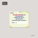새롬디자인 이미지
