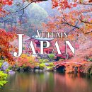 Autumn Japan 4K Ultra HD • Enchanting Autumn Japan, Scenic Relaxation Film 이미지