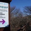 한라산렌트카