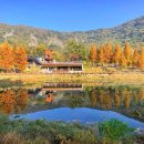 월아산 숲속의 진주 이미지