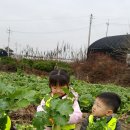 송죽농장 이미지