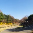 요리조리찬 | (새로운 알바를 시작합니다 that&#39;s 맘시터 (3.21~3.23)