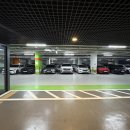 매무새크리닉 | 복부 지방분해주사 유명한 곳 추천 1주차 비교 후기