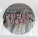 시루조아 :: 굳지 않는 떡 선물세트 내돈내산 솔직 후기