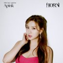 대한이벤트기획사 이미지