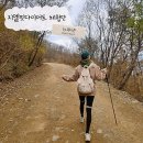 [제나가 한다] 일반식&amp; 치팅과 함께하는 지엘핏다이어트유산균 3개월 섭취 후기
