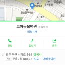 코아동물병원 이미지