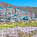 소노펠리체 이미지