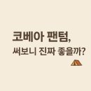 팬텀파트너스 | “코베아 팬텀 텐트 솔직 후기/1시간 걸리던 설치가 15분 컷이 된 이유”