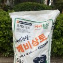 집에서 블루베리 키우기 깨비농장 블루베리 나무 키우기 1그루 세트 도시농부 되기 풀세트
