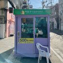 댕스널컬러 | 홍대 애견동반 서울 강아지랑 놀거리로 퍼스널컬러 받았어요
