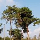 금마3농장 이미지