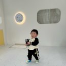 올데이독 이미지