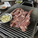 손문갈매기