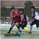 서울은로초등학교 이미지