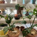 승암빌딩 이미지