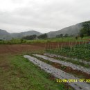 기중농장 이미지