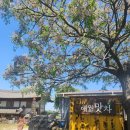 애월한옥 민박 이미지