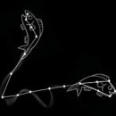 물고기자리 이미지