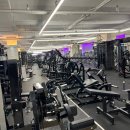 짐고(GYMGO) 네이버블로그