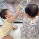 해바라기가맥 이미지