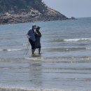 서해바다 이미지