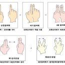 감수분열과 인류의 진화 이미지