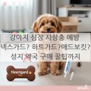 동그라미약국 | 🐶 강아지 심장사상충약, 넥스가드? 하트가드? 애드보킷? 3대장 비교 (1년치 성지약국 구매 후기)