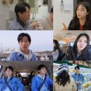 플레이
